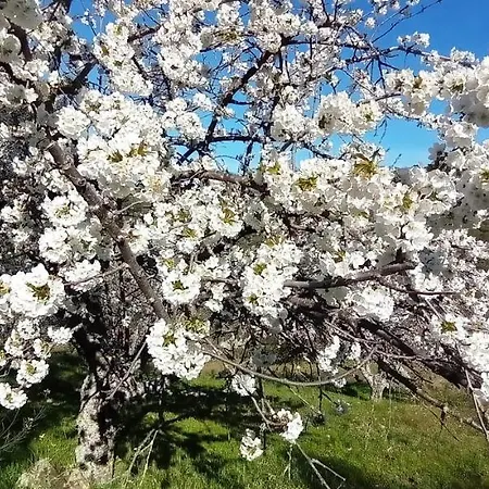 Apartmán Ca' Tio Celso San Esteban de la Sierra