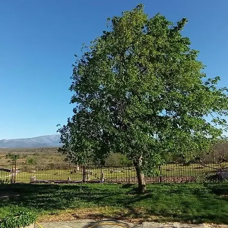 Apartmán Ca' Tio Celso *