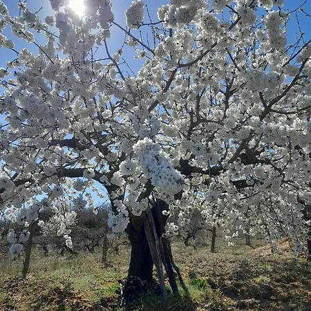 Ca' Tio Celso 아파트 San Esteban de la Sierra