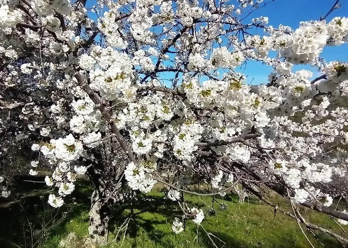 Apartament Ca' Tio Celso San Esteban de la Sierra