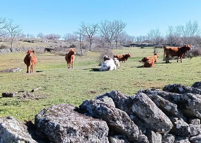 Ca' Tio Celso 아파트 San Esteban de la Sierra