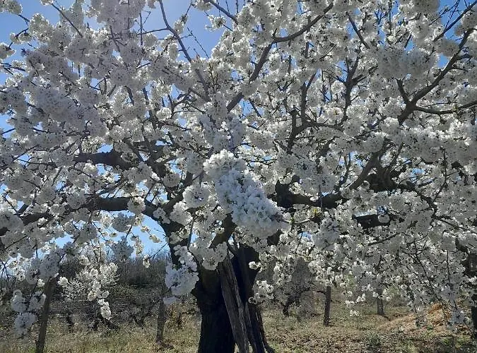 Ca' Tio Celso דירה San Esteban de la Sierra